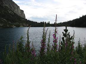 am Velke Hincovo Pleso