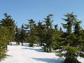 gebiet Cerna Hora mit Baumschden