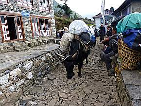 kurze Rast in Chhepung