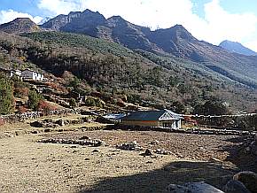 in der nhe des Rhododendronwaldes