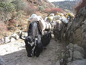 auf dem Weg nach Namche Bazar