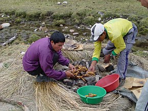 Pachamanca - peruanisches Gericht; Kochen in der Erde